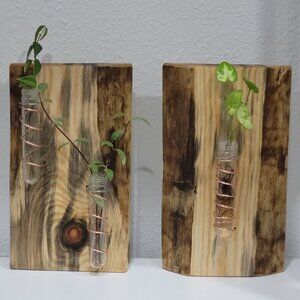 Handmade Blue Beetle Pine Live Edge Wood Slab Propagation Station Plants Rustic